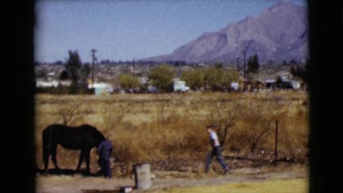 1968: a horse is seen with a rider CLARKSDALE, ARIZONA