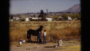 1968: two small boys petting a large black horse in an open field CLARKSDALE,