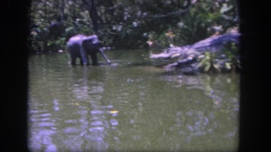 1962: a elephant is seen with water DISNEYLAND, CALIFORNIA