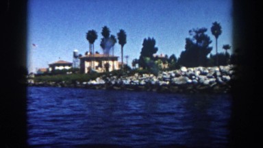 1962: a coastal area is seen with tall trees SAN PEDRO, CALIFORNIA