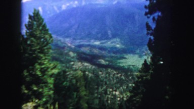 1958: forest mountain scenic view from window of trees in daytime COLORADO