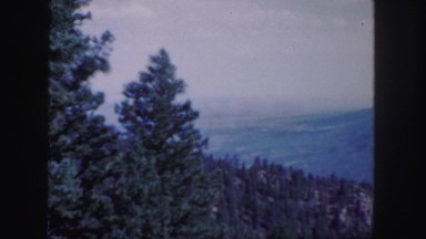 1958: Evergreen Forest in Front of a Mountain, Colorado
