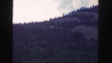 1958: a beautiful blue sky above a beautiful rugged mountain peak as seen pine