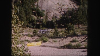 1958: a forest area is seen COLORADO