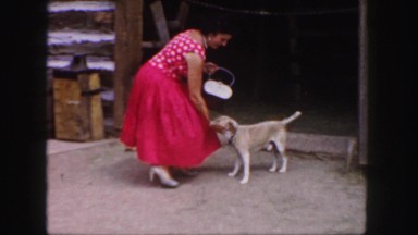 1958: a dog is seen being pet COLORADO