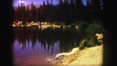 1958: a forest area is seen COLORADO