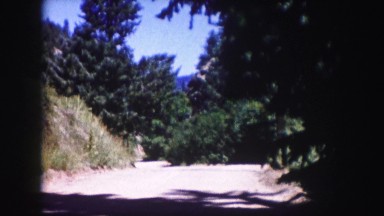 1958: shade covered mountain road escape sunshine happy place COLORADO