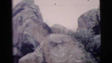 1958: a hilly area is seen with trees and greenery NEW YORK CITY