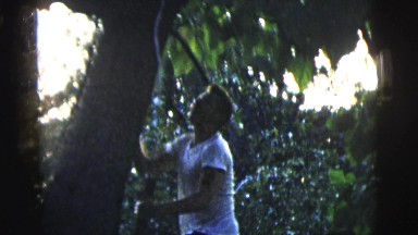 1958: Man in White Shirt Climbs Tree and Hangs from Branch in New York City