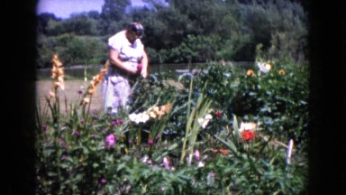 1960: a garden is seen WAUCONDA, ILLINOIS