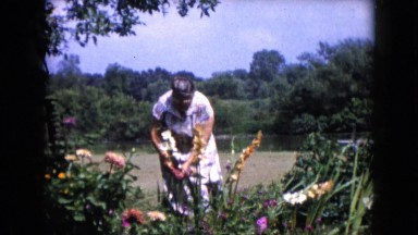 1960: a garden is seen WAUCONDA, ILLINOIS