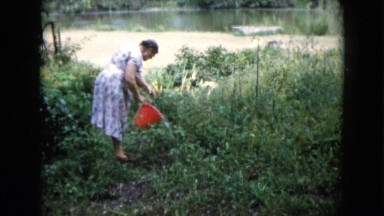 1960: a garden is seen WAUCONDA, ILLINOIS