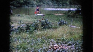 1960: a picnic in a forest area is seen WAUCONDA, ILLINOIS
