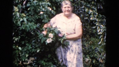 1960: old woman showing the flowers blossomed in her garden WAUCONDA, ILLINOIS