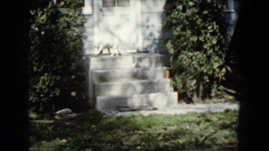 1960: a residential area is seen WAUCONDA, ILLINOIS