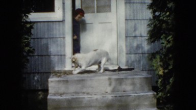 1960: a dog is seen being pet WAUCONDA, ILLINOIS