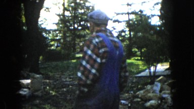 1960: a forest area is seen WAUCONDA, ILLINOIS