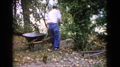 1960: a forest area is seen WAUCONDA, ILLINOIS