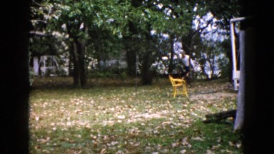 1960: person in long sleeves collects leaves in wheelbarrow and marches through