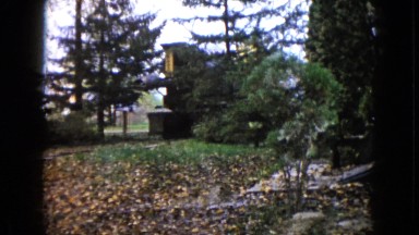 1960: a deforest scene is seen WAUCONDA, ILLINOIS