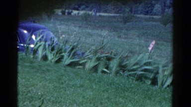 1959: a group of plants with some flowers lined up in a very green area CATSKILL