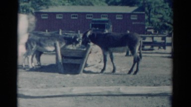 1959: people at a farm or ranch climbing up on an old fashioned stagecoach