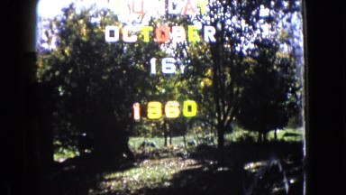 1960: A Forest Area is Seen in Wauconda, Illinois
