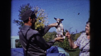 1960: grandpa's most prized possession, his little chihuahua WAUCONDA, ILLINOIS