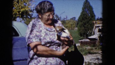 1960: grandma holding her most prized possession, her chihuahua WAUCONDA