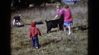1960: a goat is seen being pet WAUCONDA, ILLINOIS