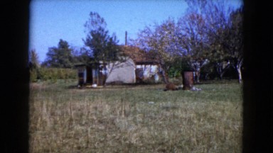 1960: Shack in the Country Wauconda, Illinois