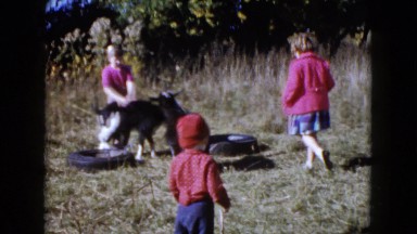 1960: a goat is seen being pet WAUCONDA, ILLINOIS