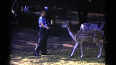 1959: Small Boy Feeding Deer at Catskill Game Farm, New York