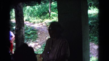 1963: a forest area is seen COLD SPRINGS, NEW YORK