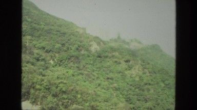 1974: a greenery scene INDIA