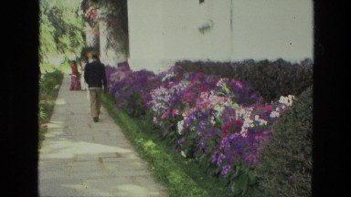 1974: a garden is seen INDIA