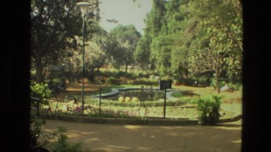 1974: the mountain and the trees are so amazing that colour is so full of spirit