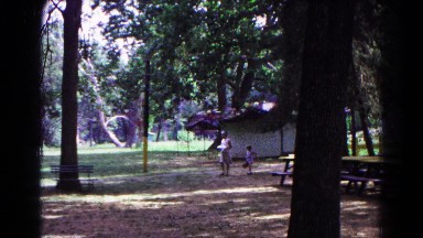 1963: a forest area is seen COLD SPRINGS, NEW YORK