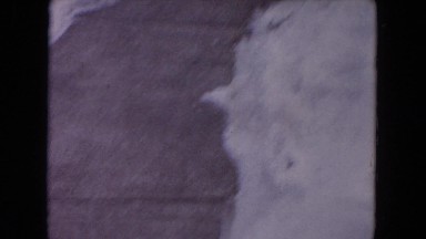 1964: A Dog Jumping on Grass in Evanston, Illinois