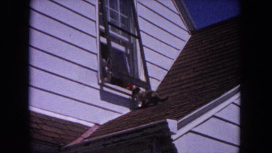 1964: cat climbing from roof into open upper story window EVANSTON, ILLINOIS