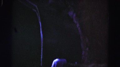 1962: a forest area is seen HAGERSTOWN, MARYLAND