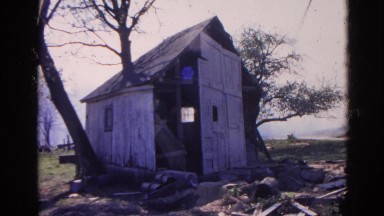 1968: worn out old wooden cabin between tree trunks in an open area WAUCONDA