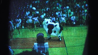 1962: cow dances on top of basketball court surrounded by pairs of dancing