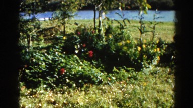 1962: a garden is seen CHICAGOLAND AREA