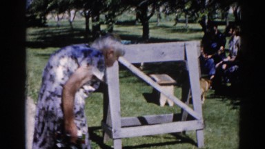 1962: picnic family outing reunion with grandmother walking CHICAGOLAND AREA