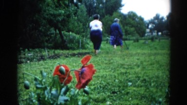 1962: old couple is walking through the field rich of greenery CHICAGOLAND AREA