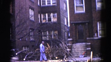 1962: a deforest scene is seen CHICAGOLAND AREA