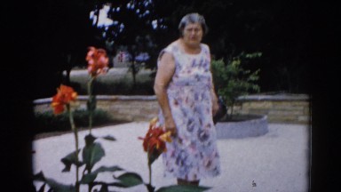 1962: a open garden scene CHICAGOLAND AREA