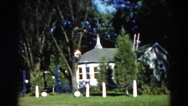 1962: a man sits in a tree and saws off a large branch