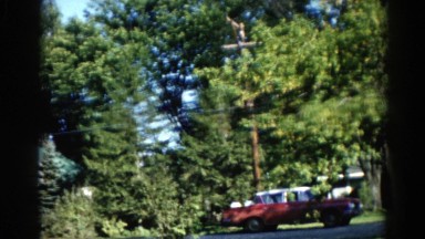 1962: a forest area is seen CHICAGOLAND AREA